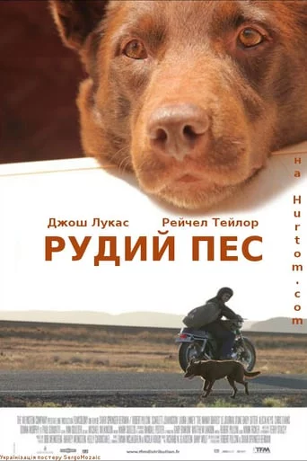 Рудий пес